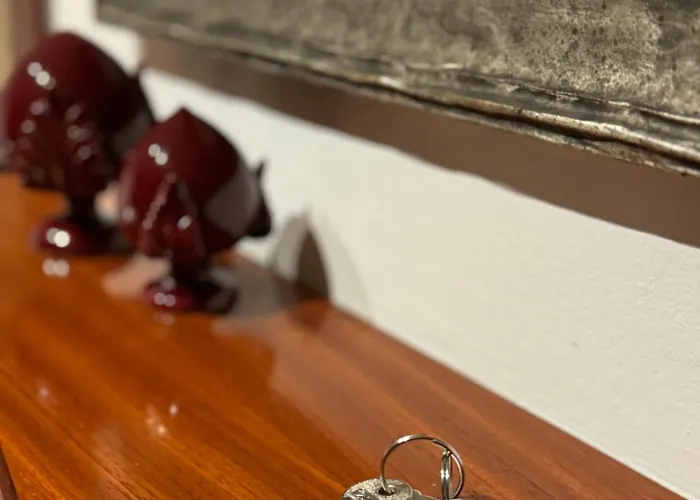 公寓 Gv Luxury 巴里